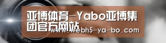 公司动态