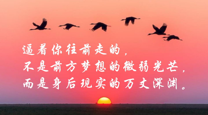 明星基金经理二季度调仓轨迹曝光:刘格菘、傅鹏博等“交卷儿”“亚博”(图3) 亚博体育