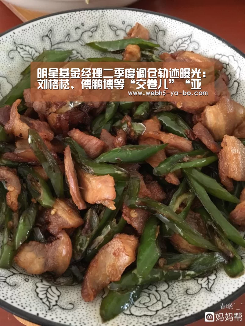 明星基金经理二季度调仓轨迹曝光:刘格菘、傅鹏博等“交卷儿”“亚博”(图4) 亚博