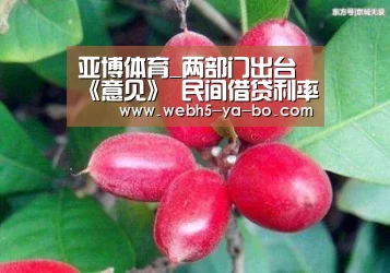 亚博体育_两部门出台《意见》 民间借贷利率司法保护上限或大幅降低(图1) 亚博体育